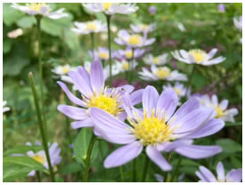 全ては自己愛から