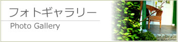 フォトギャラリー