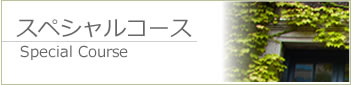 スペシャルコース