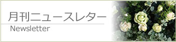 月刊ニュースレター